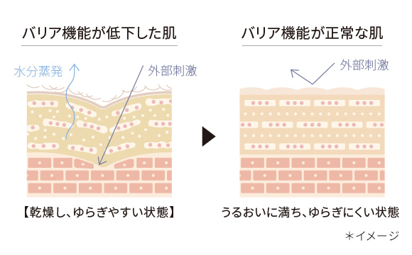 こけもも若葉エキス