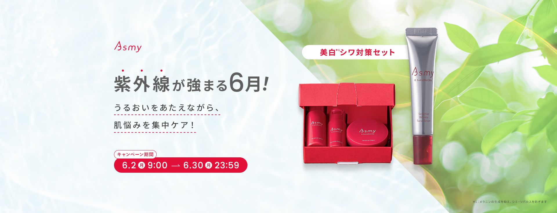 美白シワ対策セット