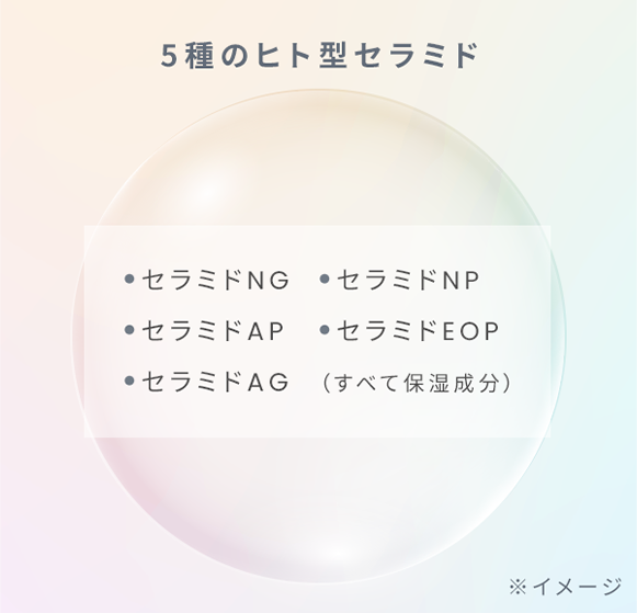 5種のヒト型セラミド