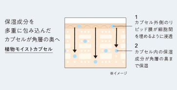植物モイストカプセル