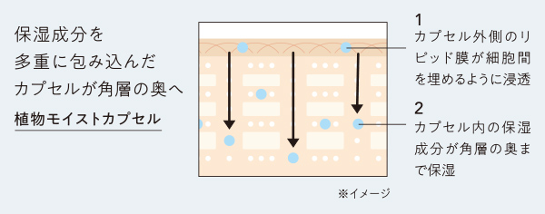 植物モイストカプセル