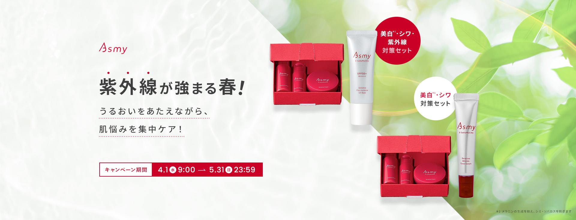 美白シワ対策セット