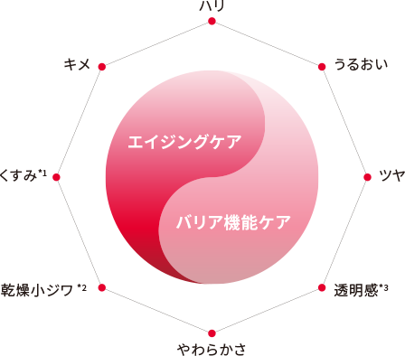 エイジングケア、バリア機能ケアのレーダーチャート