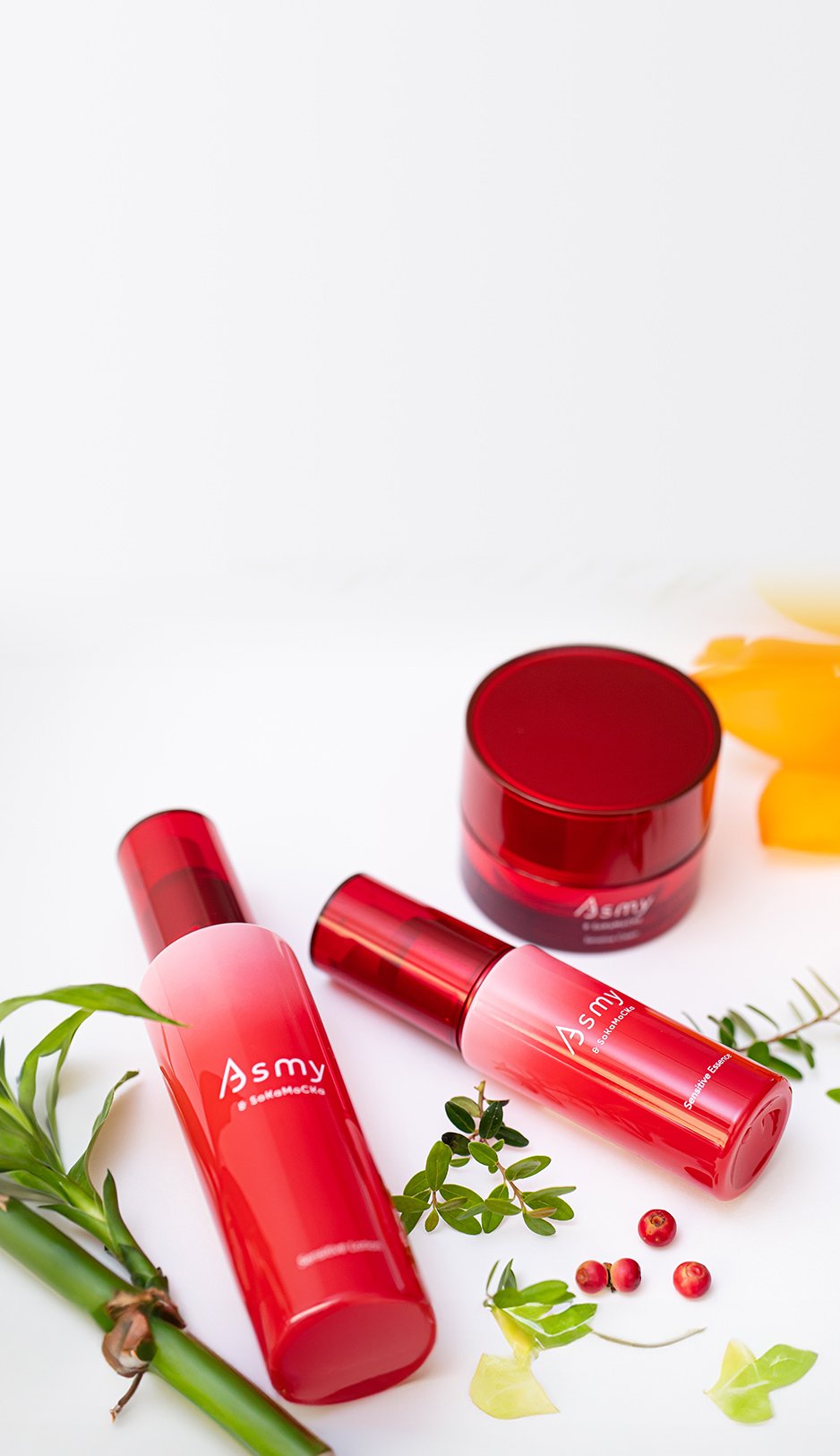 定期お届けおトク便