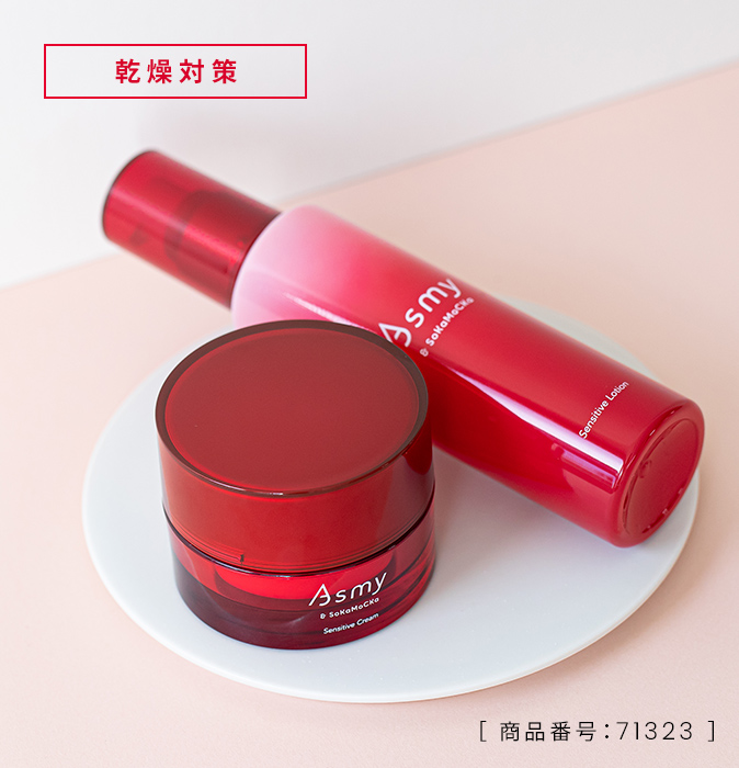 ［ 商品番号：71323 ］