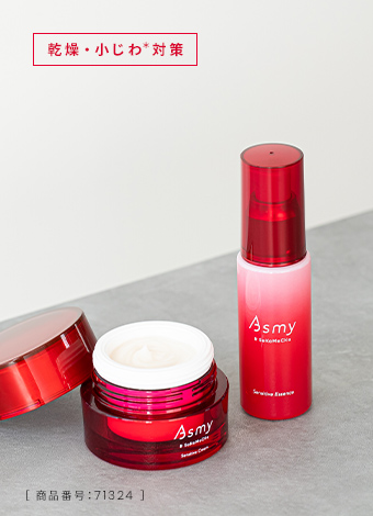 ［ 商品番号：71324 ］