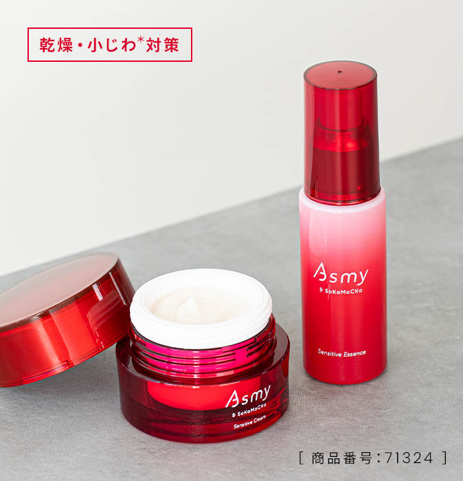 ［ 商品番号：71324 ］