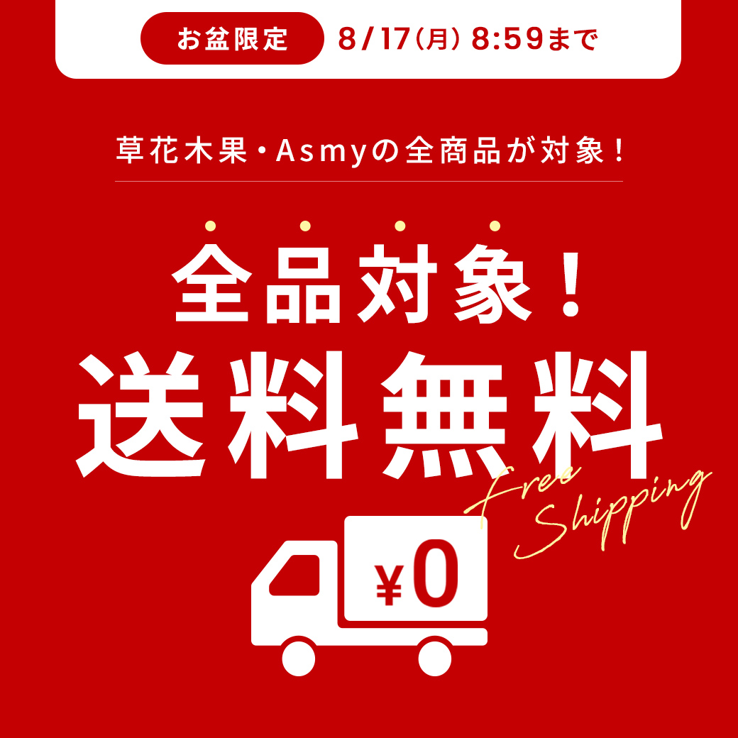 【8/17 8:59まで】お盆休み限定全品送料無料！