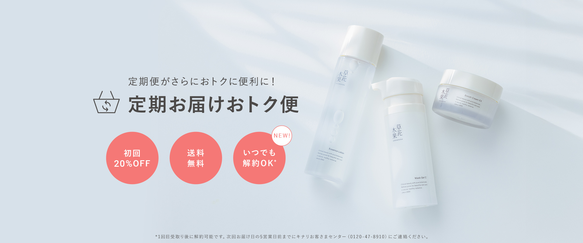 定期デビューキャンペーン