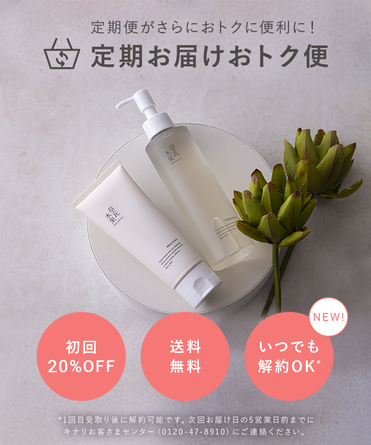 定期デビューキャンペーン