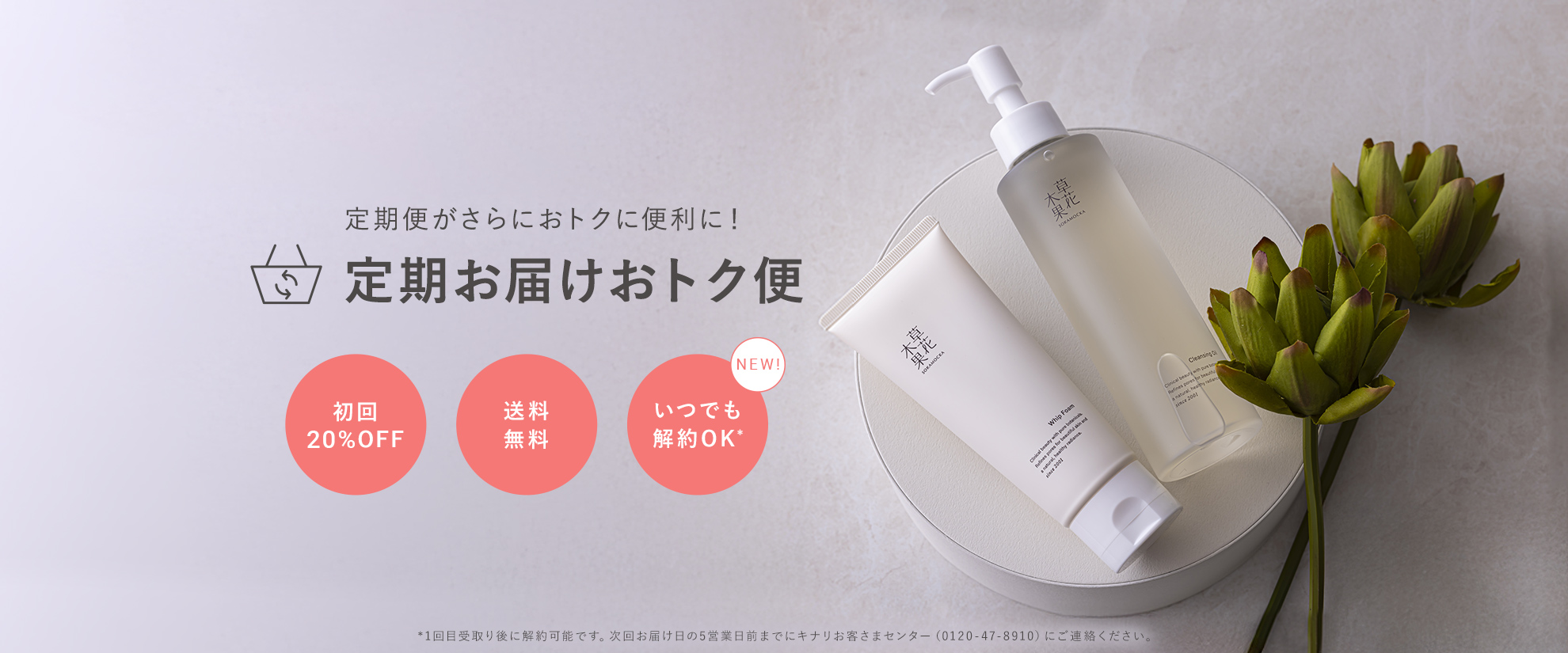 定期デビューキャンペーン