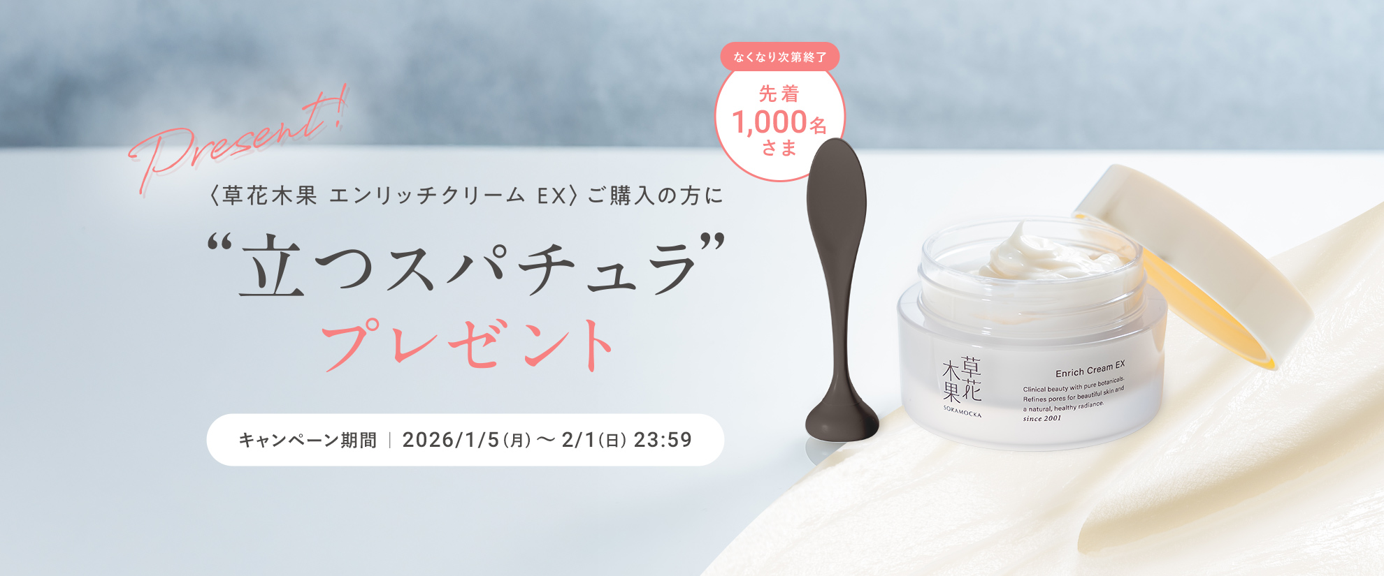 エンリッチクリームEXスパチュラプレゼント