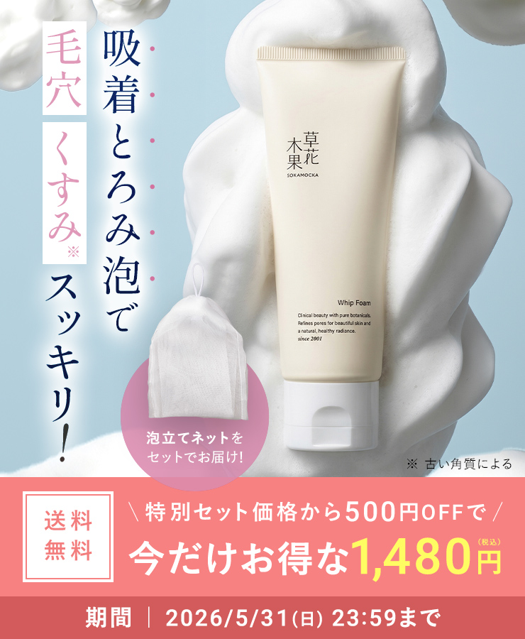 ホイップフォーム限定セット