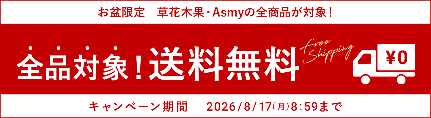 お盆限定送料無料キャンペーン
