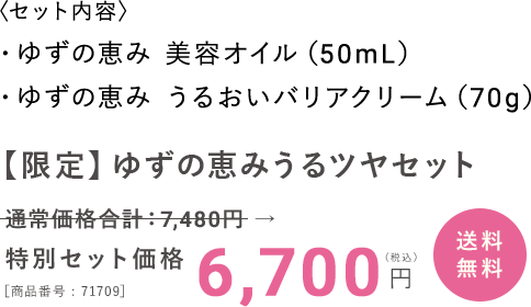 特別セット価格