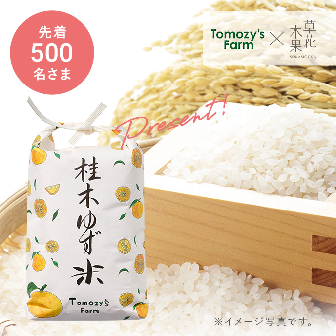 桂木ゆず米（500g）