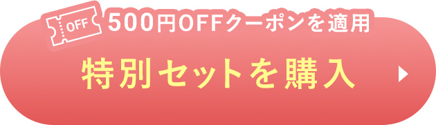 500円OFFクーポンを適用 特別セットを購入