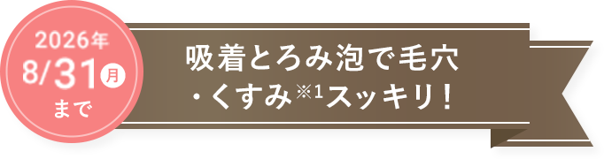 2026年 5/31(日)まで 吸着とろみ泡で毛穴・くすみ※1スッキリ！