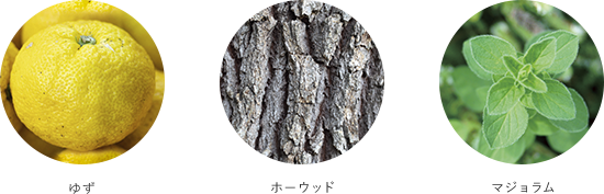 草花木果ライン