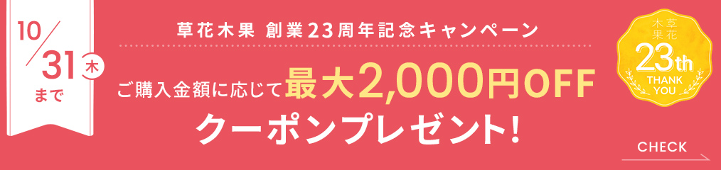 創業23周年記念キャンペーン