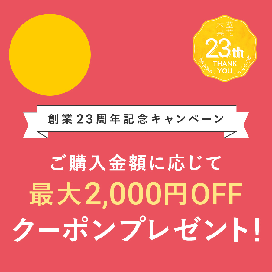 10,000円（税込）以上のお買物で2,000円（税込）OFFクーポンプレゼント！