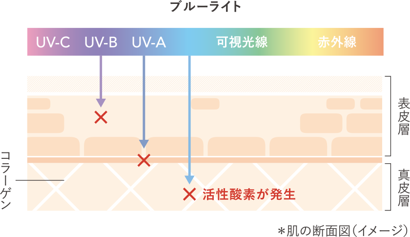 スキンケアも叶う温泉水ベースのbbクリーム 化粧下地 素肌補整bb 草花木果 公式 自然派化粧品