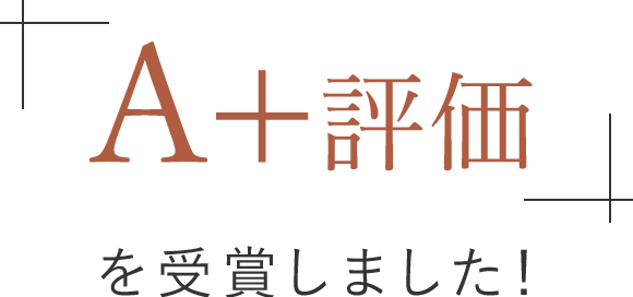 ldk bbクリーム 2019 販売