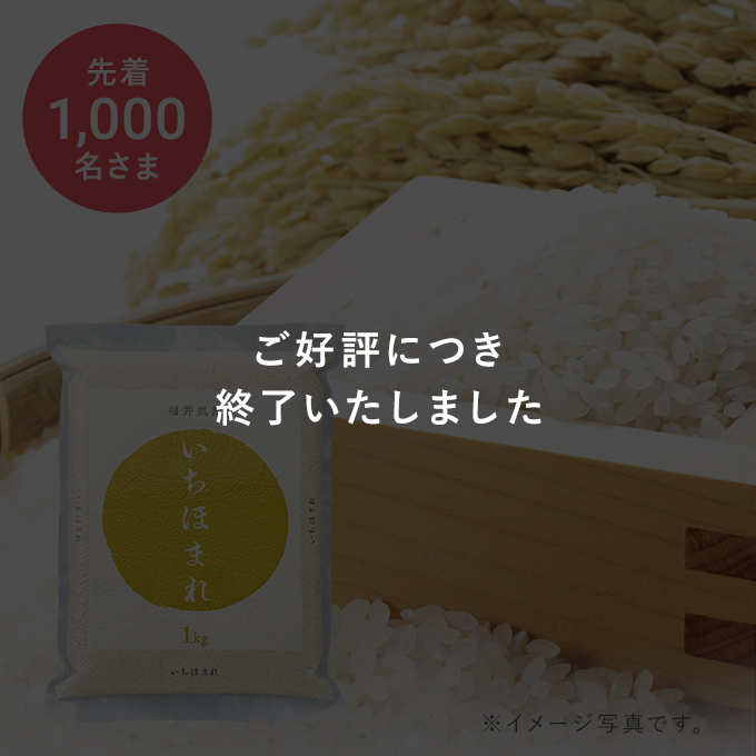 福井県産 いちほまれ 1㎏