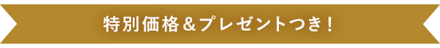 クリスマス限定！特別価格＆プレゼントつき！