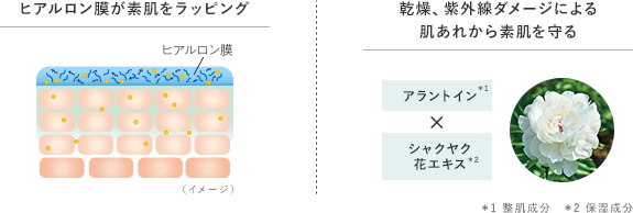 ヒアルロン膜が素肌をラッピング