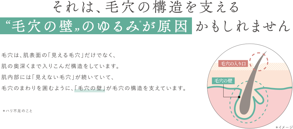 それは、毛穴の構造を支える 毛穴の壁 のゆるみが原因 かもしれません