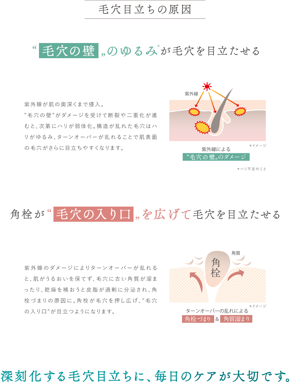 毛穴目立ちの原因