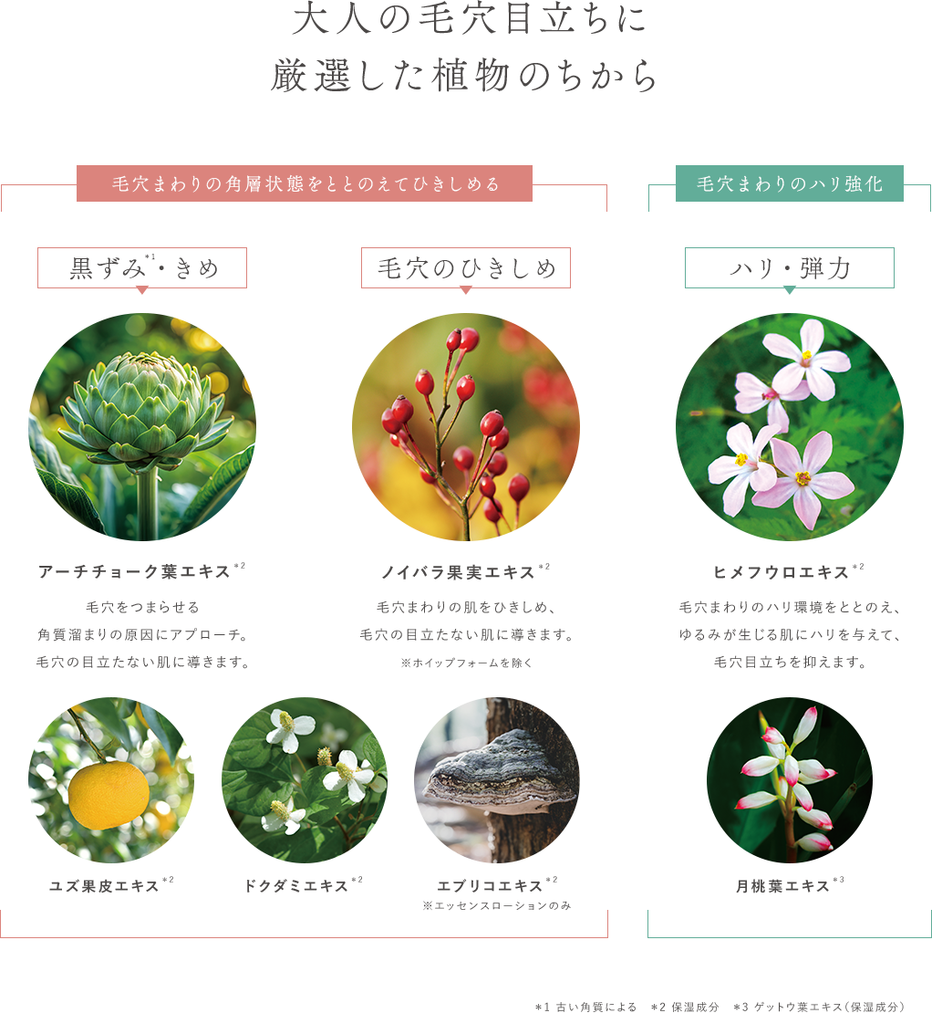 深刻化する大人の毛穴目立ちに厳選した植物のちから