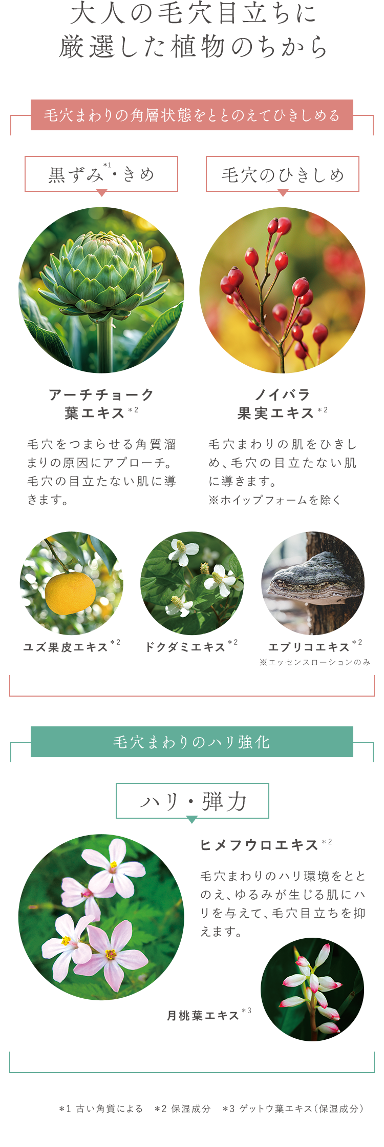 深刻化する大人の毛穴目立ちに厳選した植物のちから